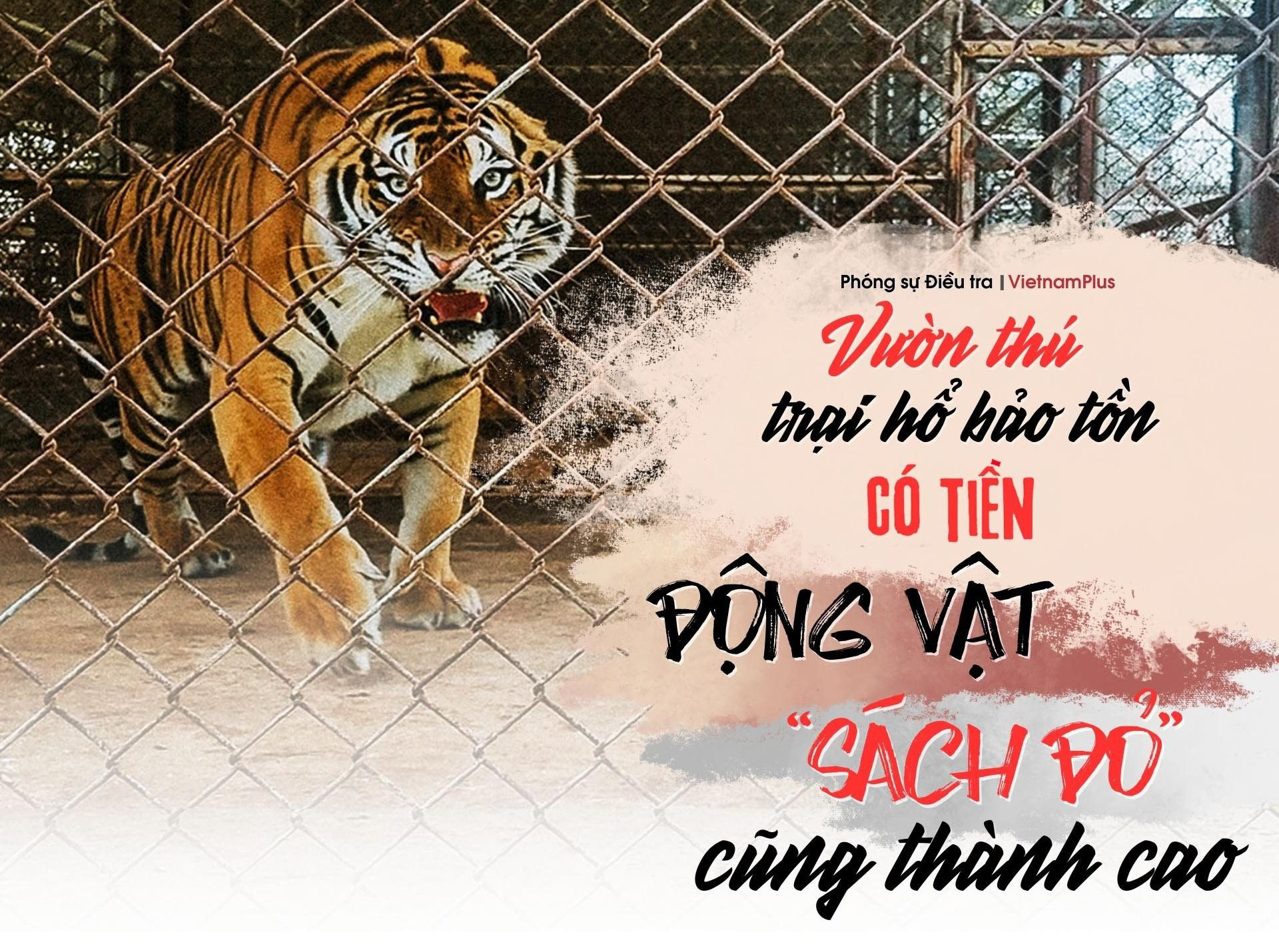 Bài 2: Vườn thú, trại hổ bảo tồn: Có tiền động vật “sách đỏ” cũng thành cao