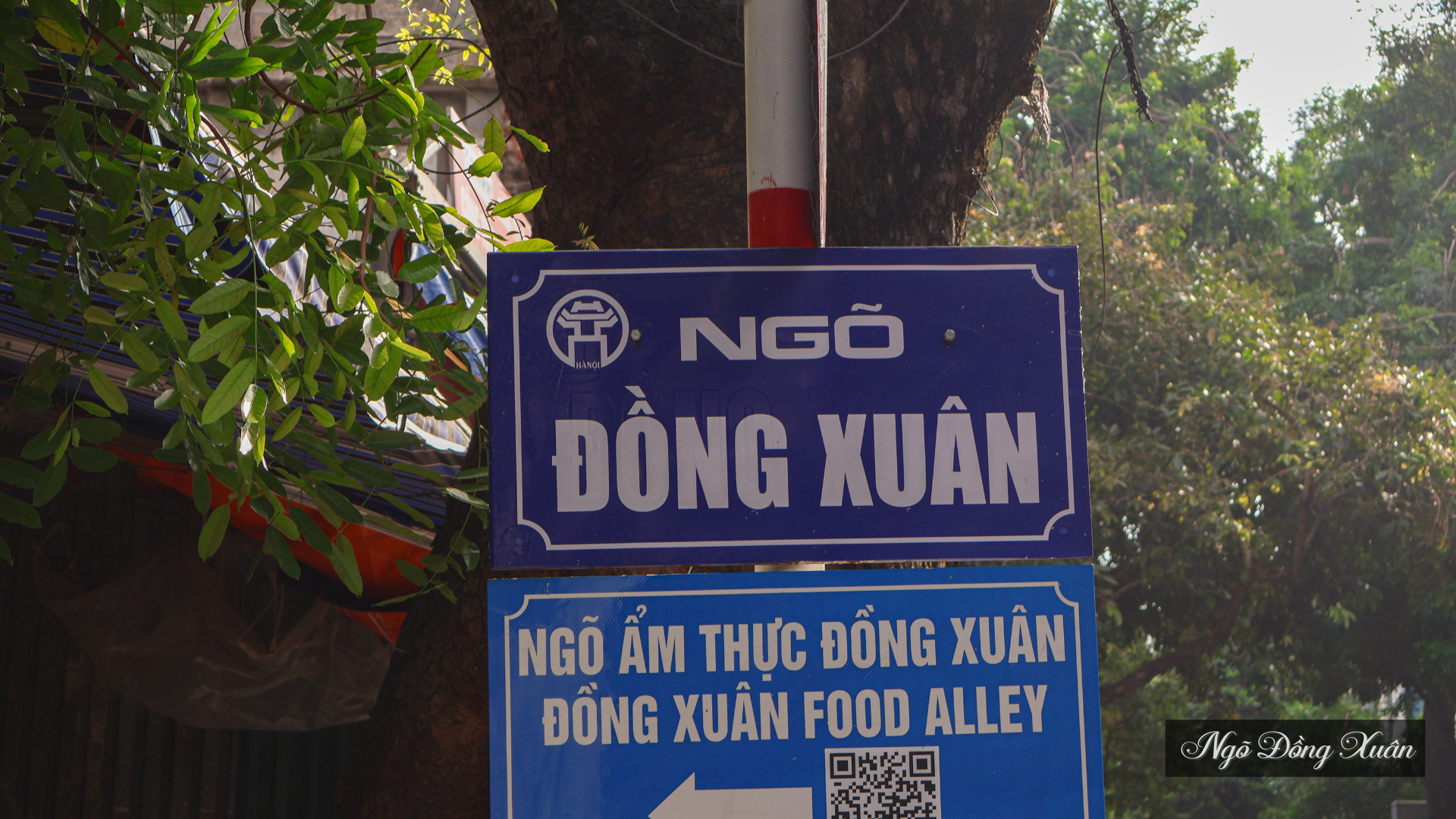 dong-xuan-4-.png