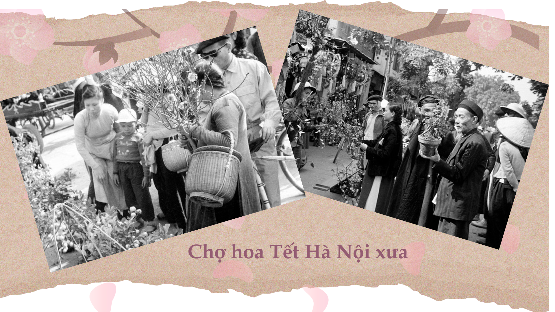 cho-hoa-tet-xua.png