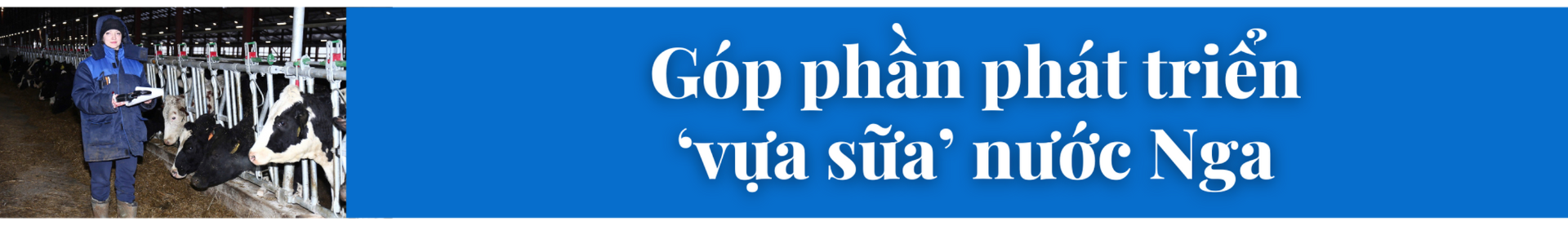 2(2).png
