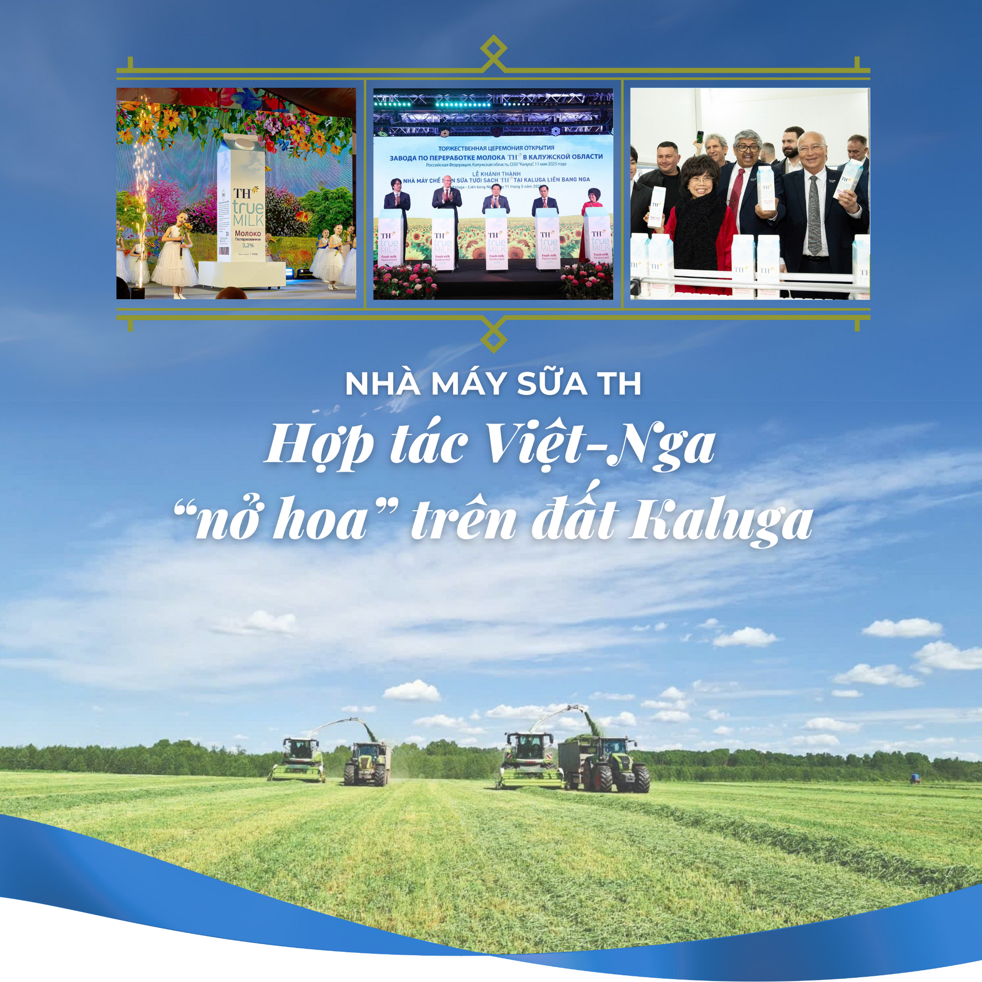 nmx.png
