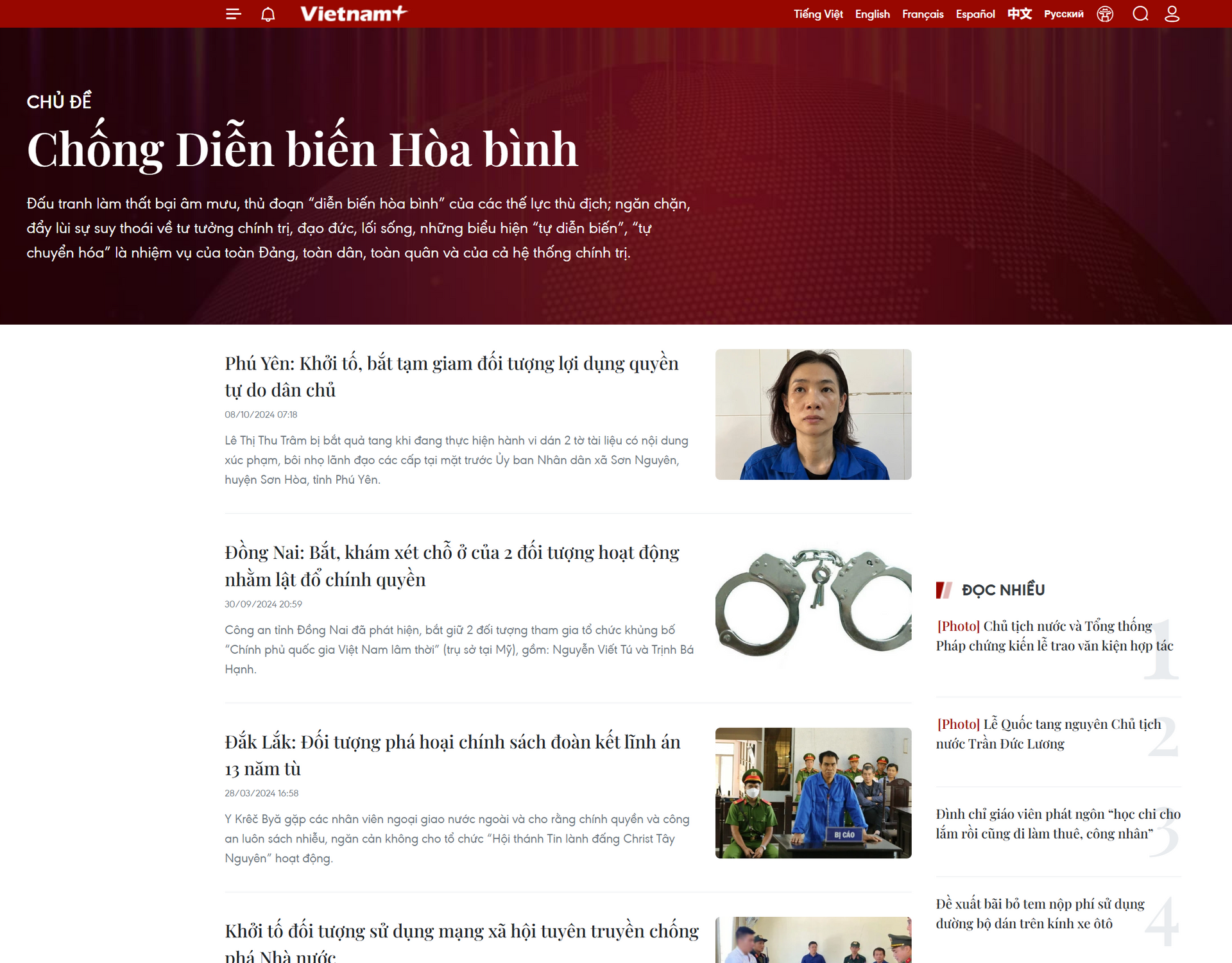 vnp_chong-dien-bien-hoa-binh.png