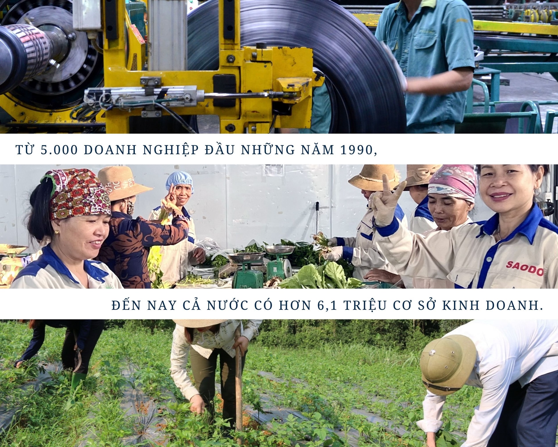 anh_minh_hoa_5.jpg