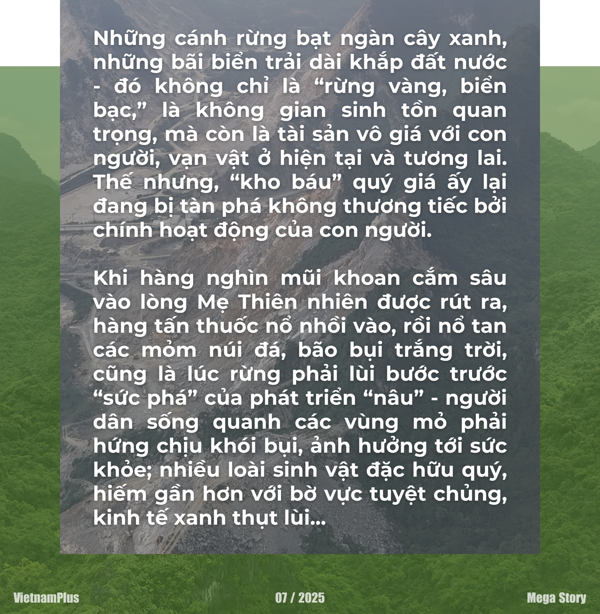 a-hung-vo-t7-2025-cover-1-.png