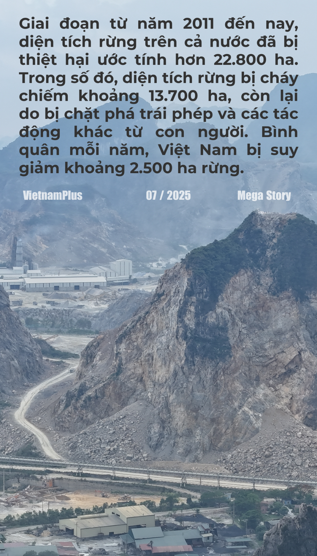 bai-1-2-(1).png