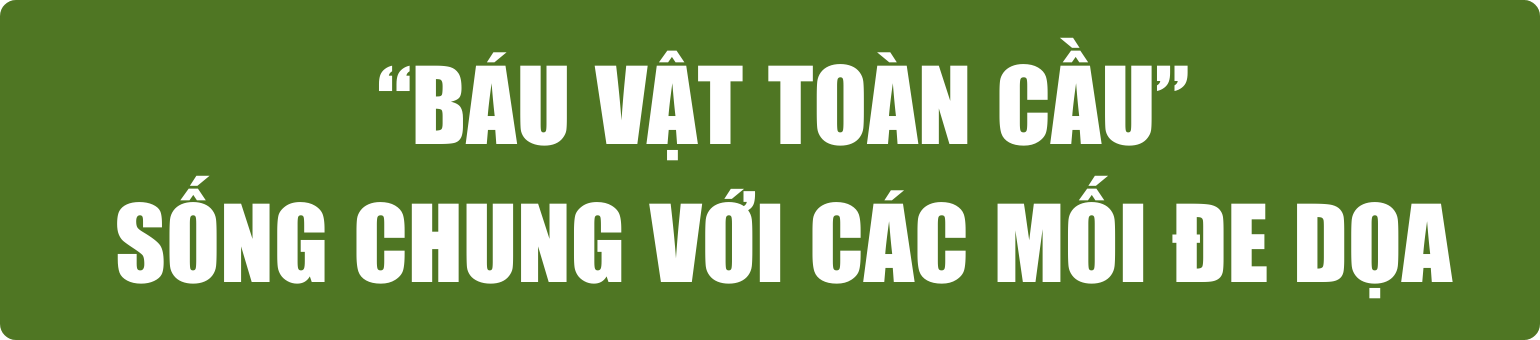 bai-21.6-pv-tit-phu-1-.png