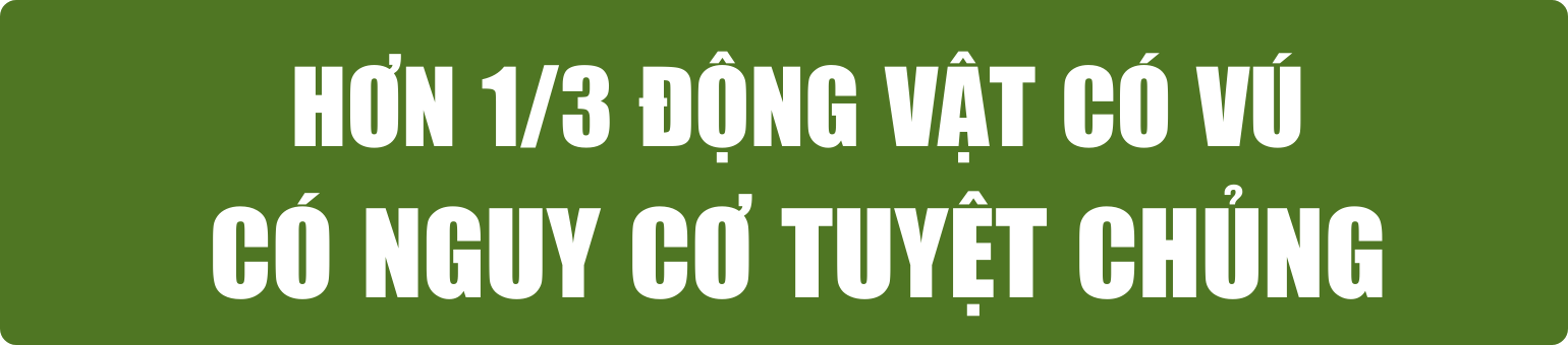 bai-21.6-pv-tit-phu-2-.png