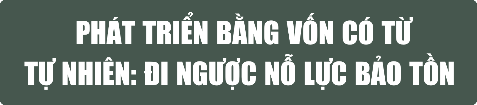 bai-21.6-pv-tit-phu-5-.png