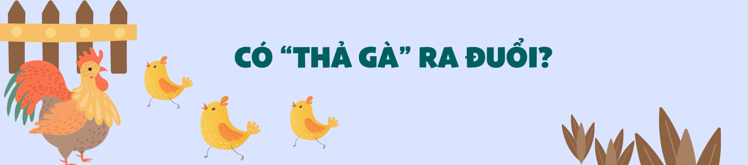 tit-3(2).png