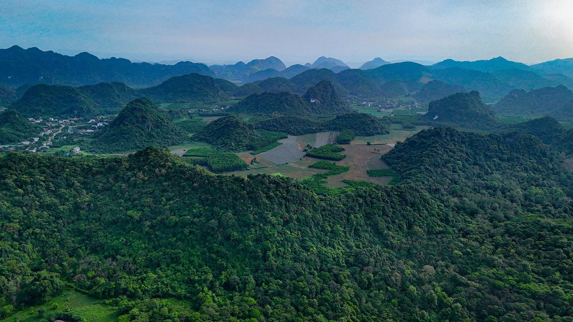 cuc-phuong-3-.jpg