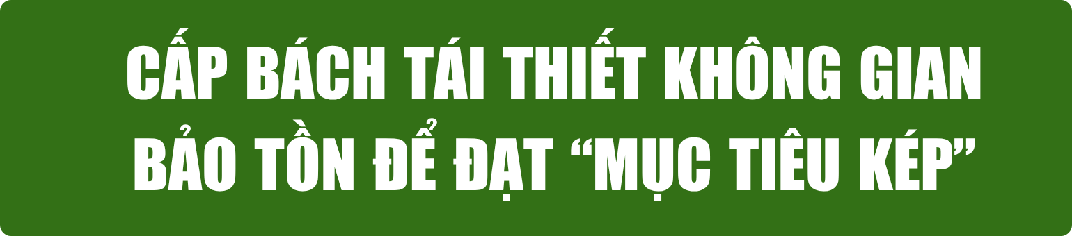 bai-21.6-pv-tit-phu-10-.png