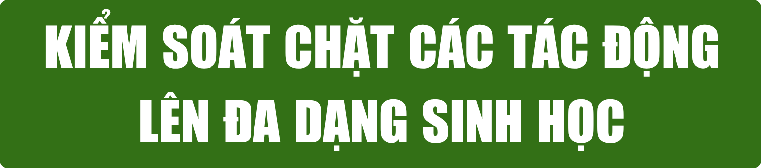 bai-21.6-pv-tit-phu-12-.png