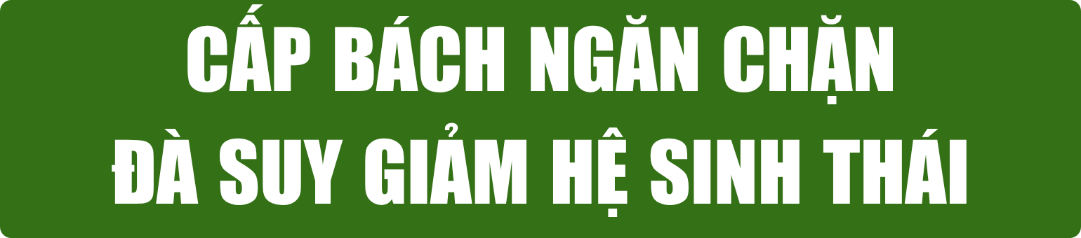 bai-21.6-pv-tit-phu-13-.png