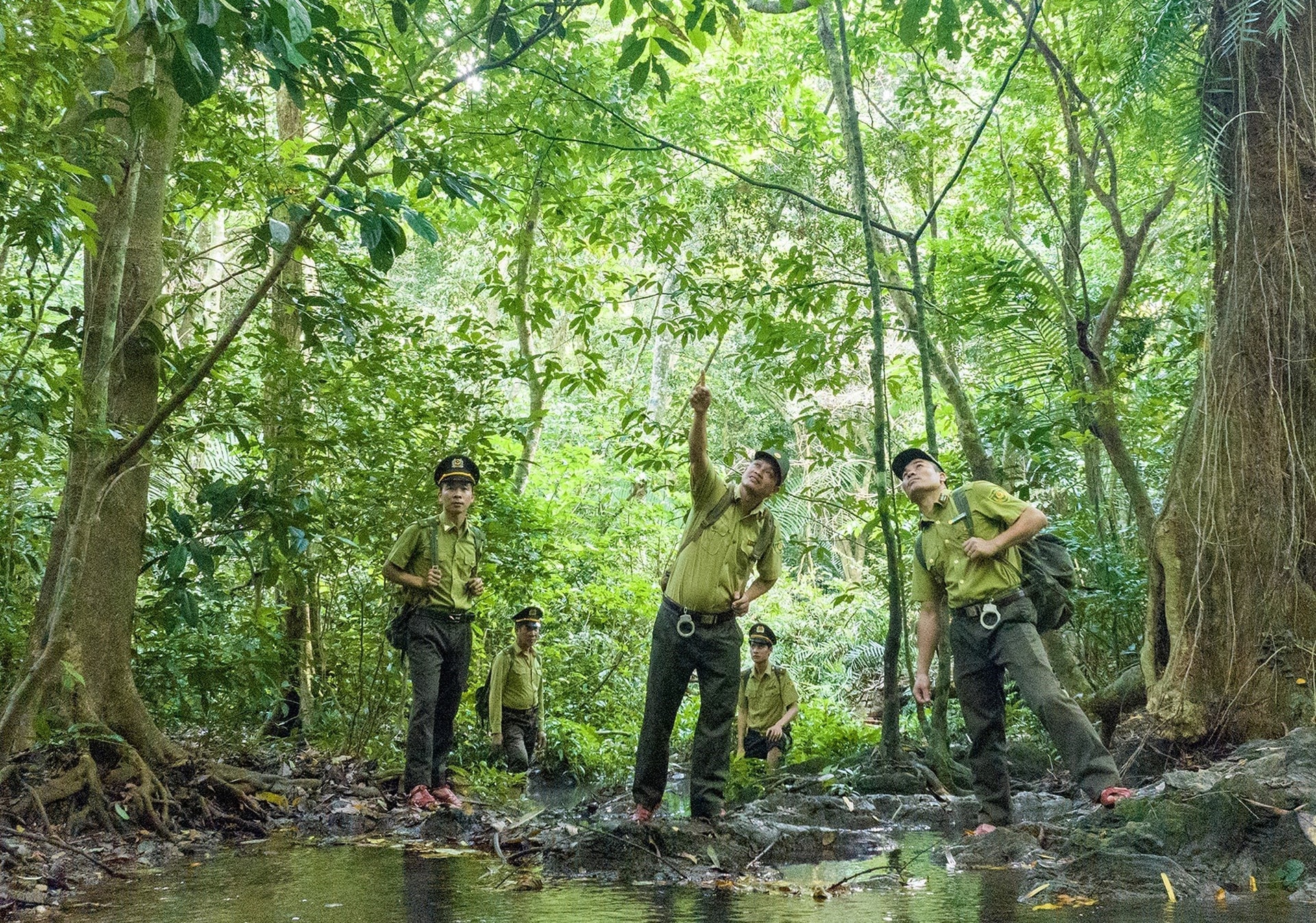 cong-tac-tuan-tra-bao-ve-rung-luon-la-nhiem-vu-hang-dau-tai-vuon-quoc-gia-cuc-phuong.-anh-ttxvn-phat.jpg