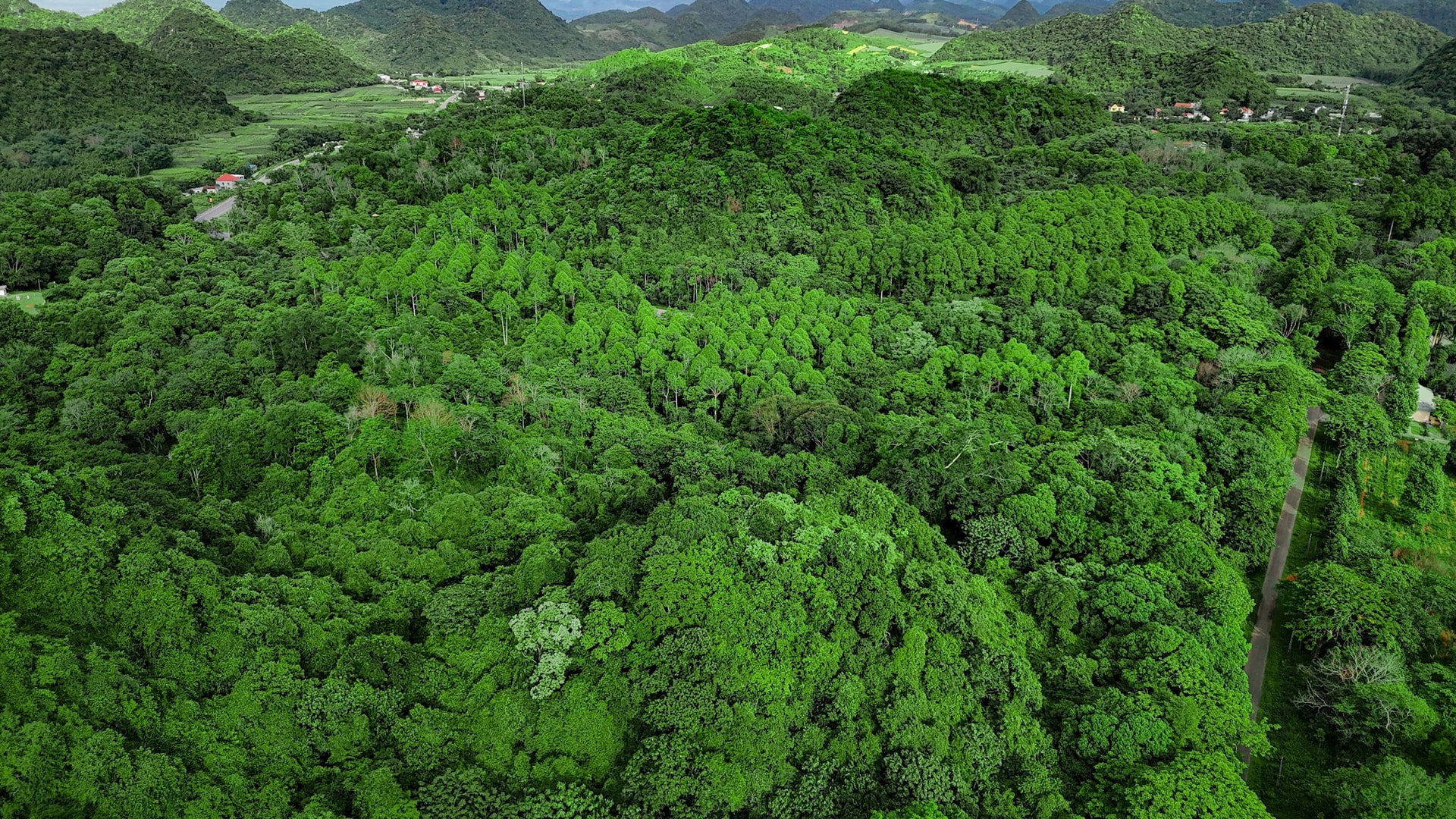 dji_20250522163300_0235_d.jpg