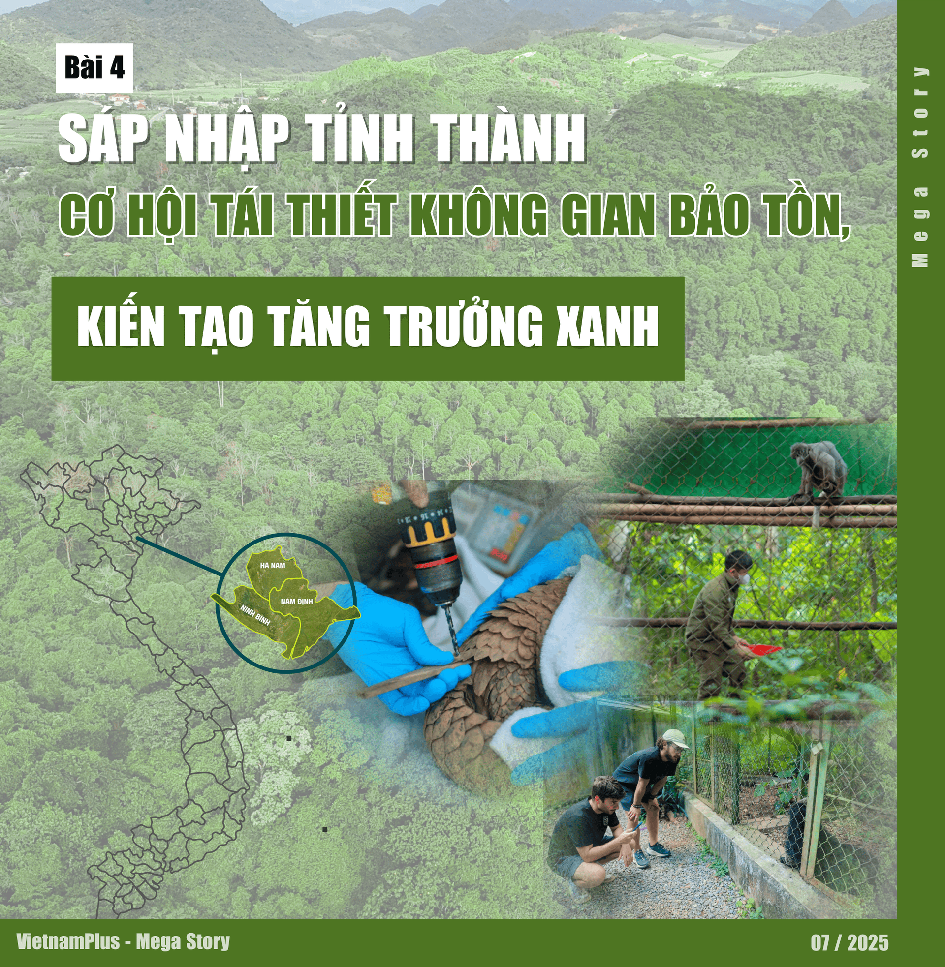 a-hung-vo-t7-2025-cover-10-.png