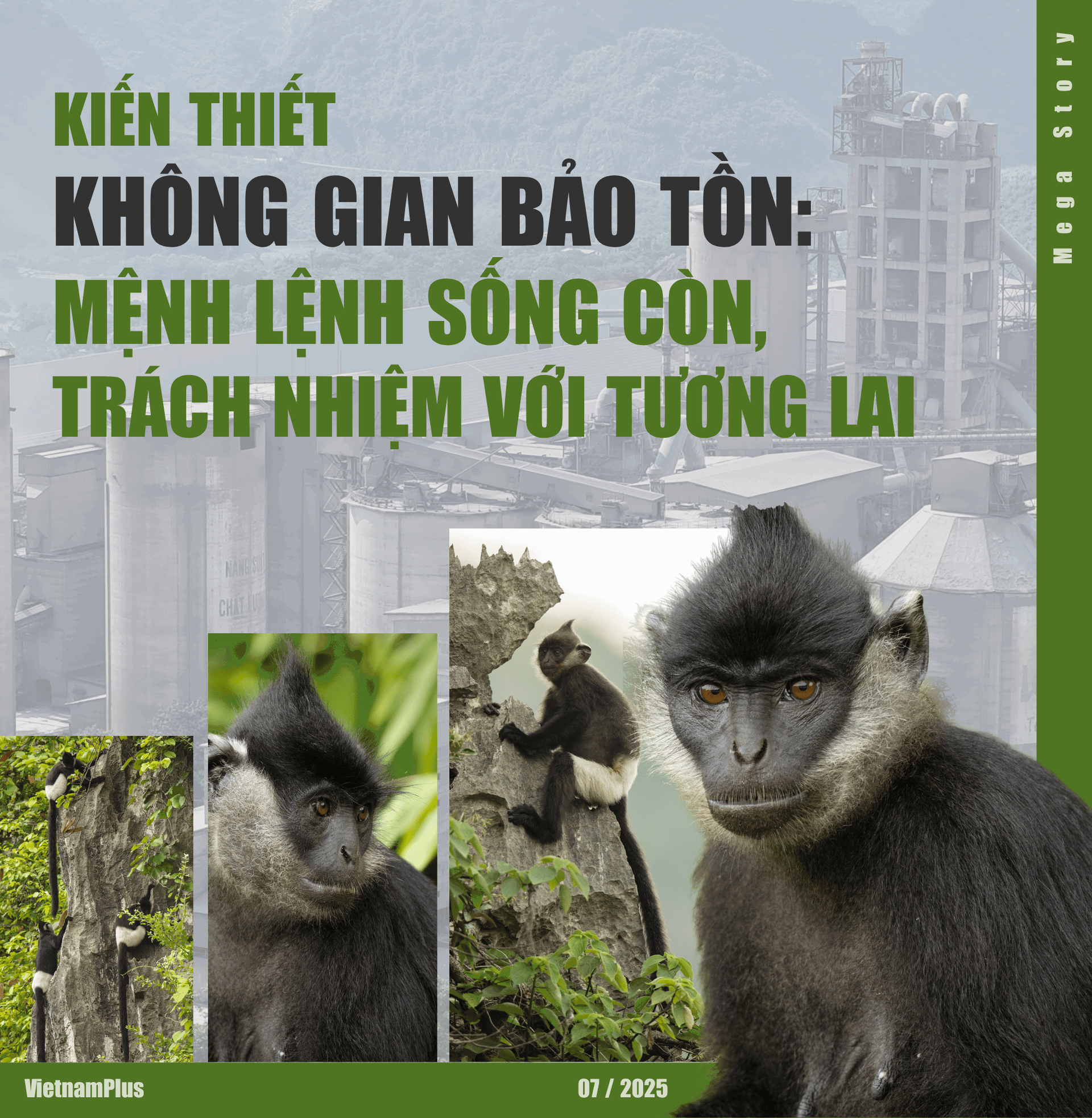 a-hung-vo-t7-2025-cover-7-.png