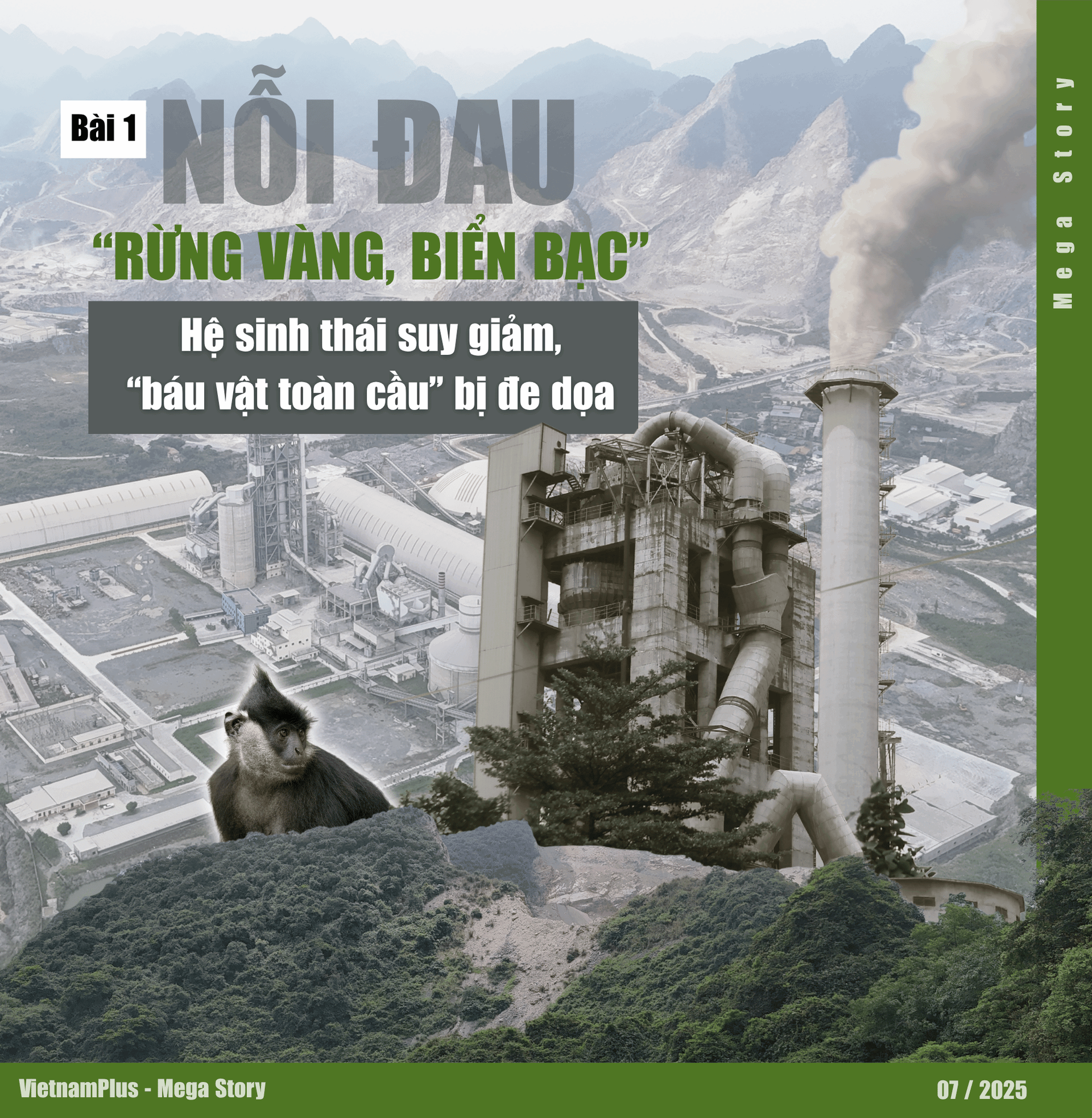 bai-1.png