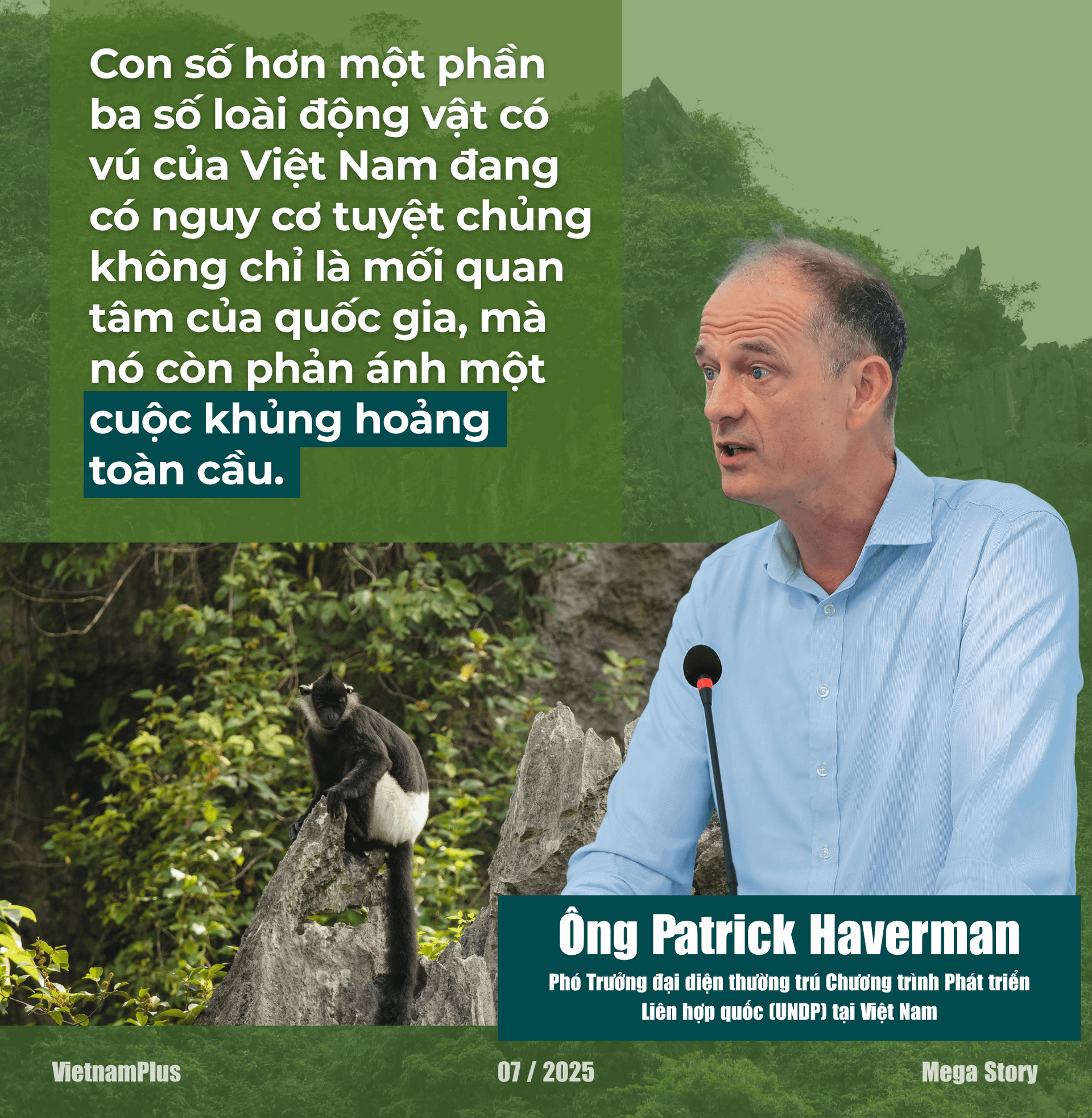 a-hung-vo-t7-2025-cover-16-.png