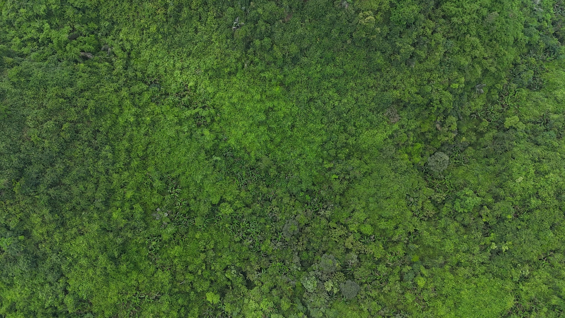 dji_20250518124636_0060_d.jpg