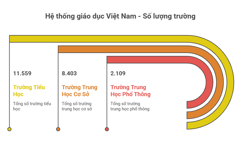 so-luong-truong(1).png