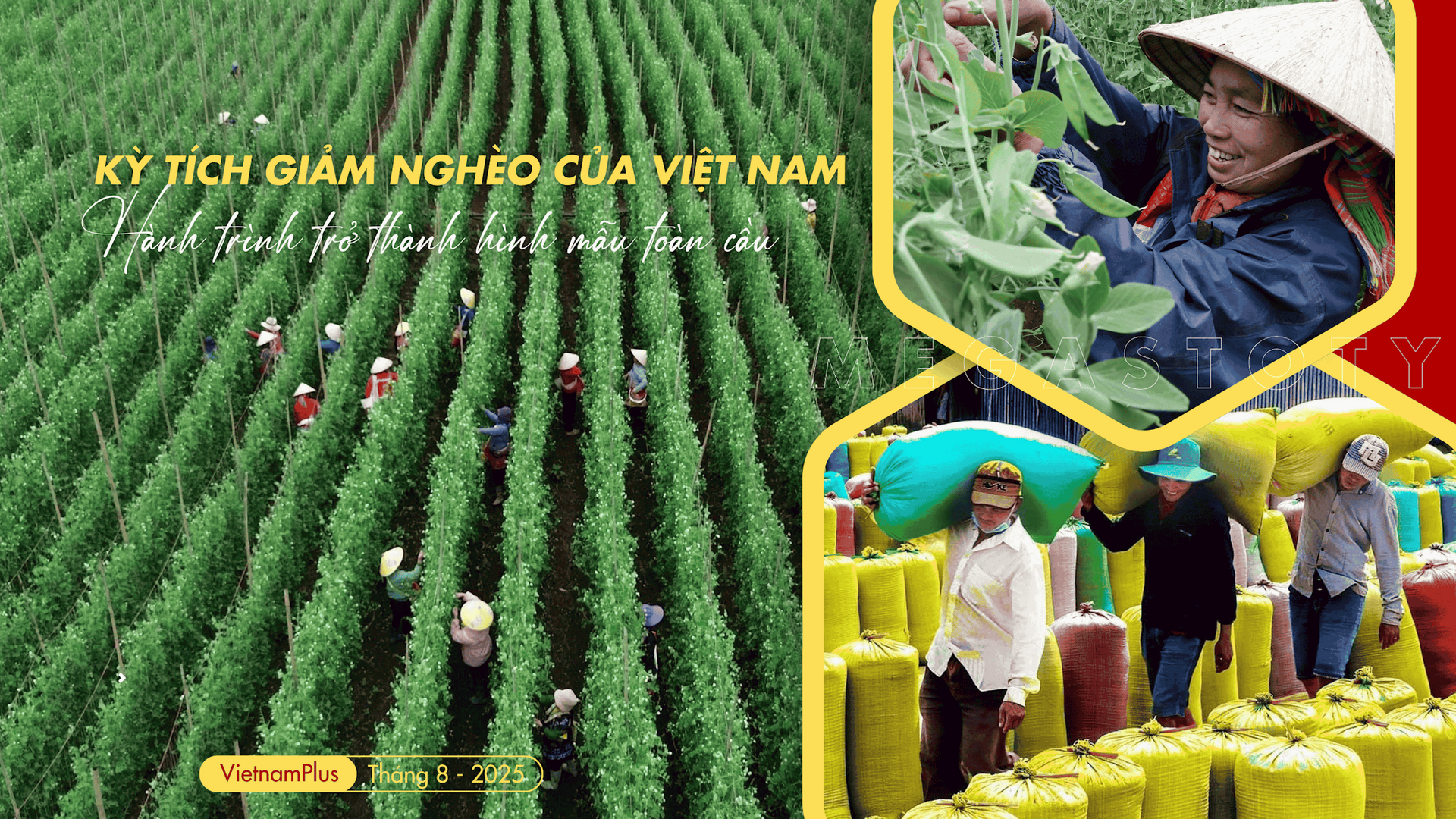 ky-tich-giam-ngheo-cua-viet-nam-cover.png
