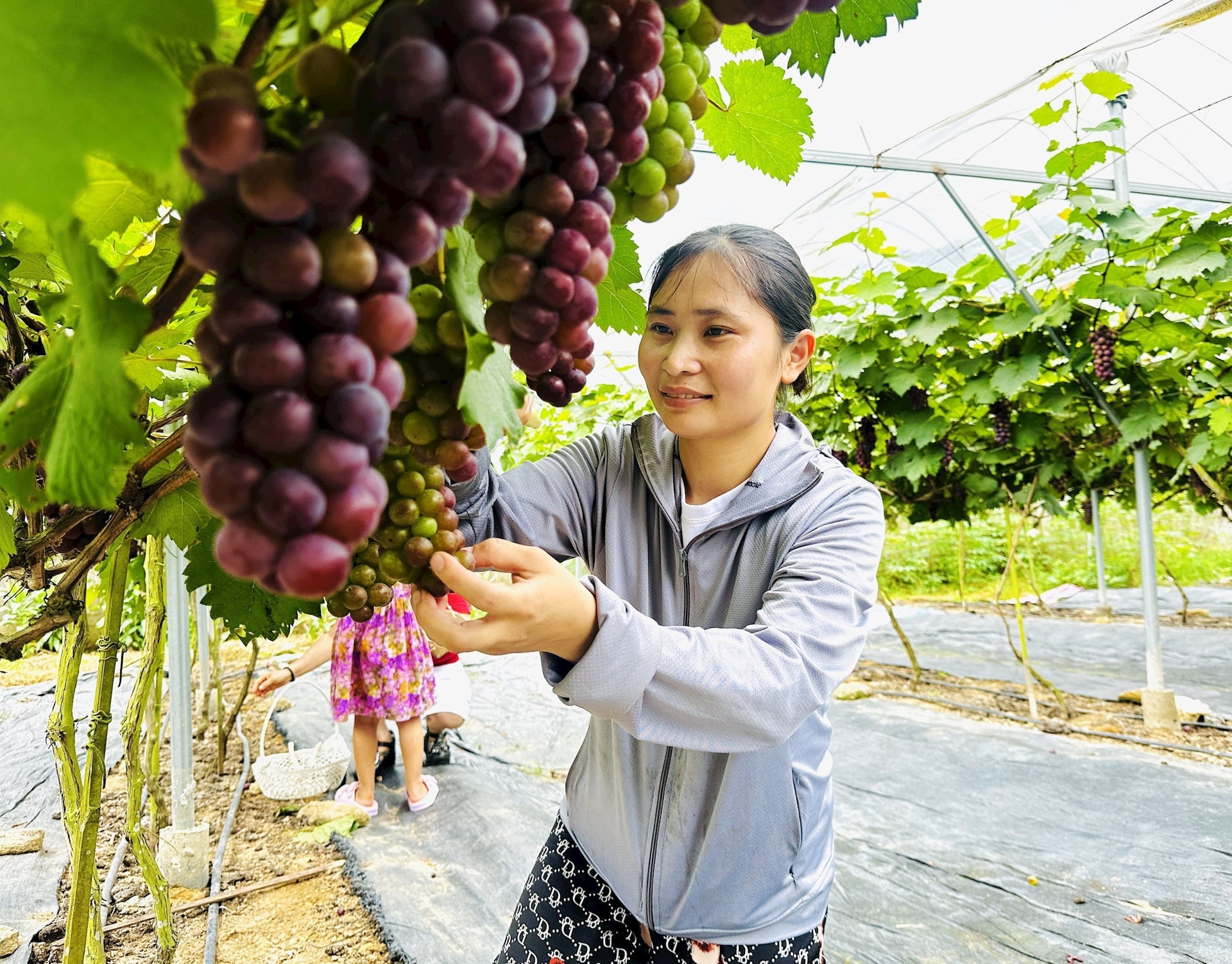 anh-giam-ngheo-11-.jpg