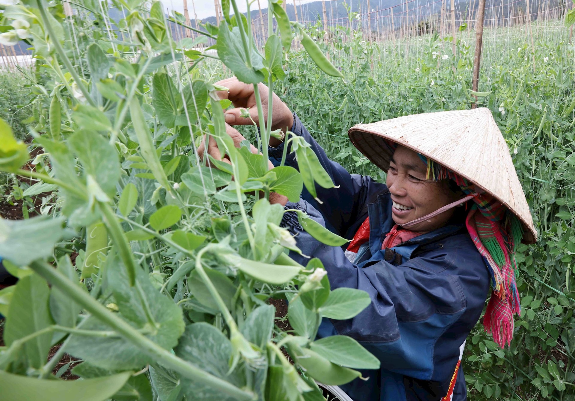 anh-giam-ngheo-7-.jpg