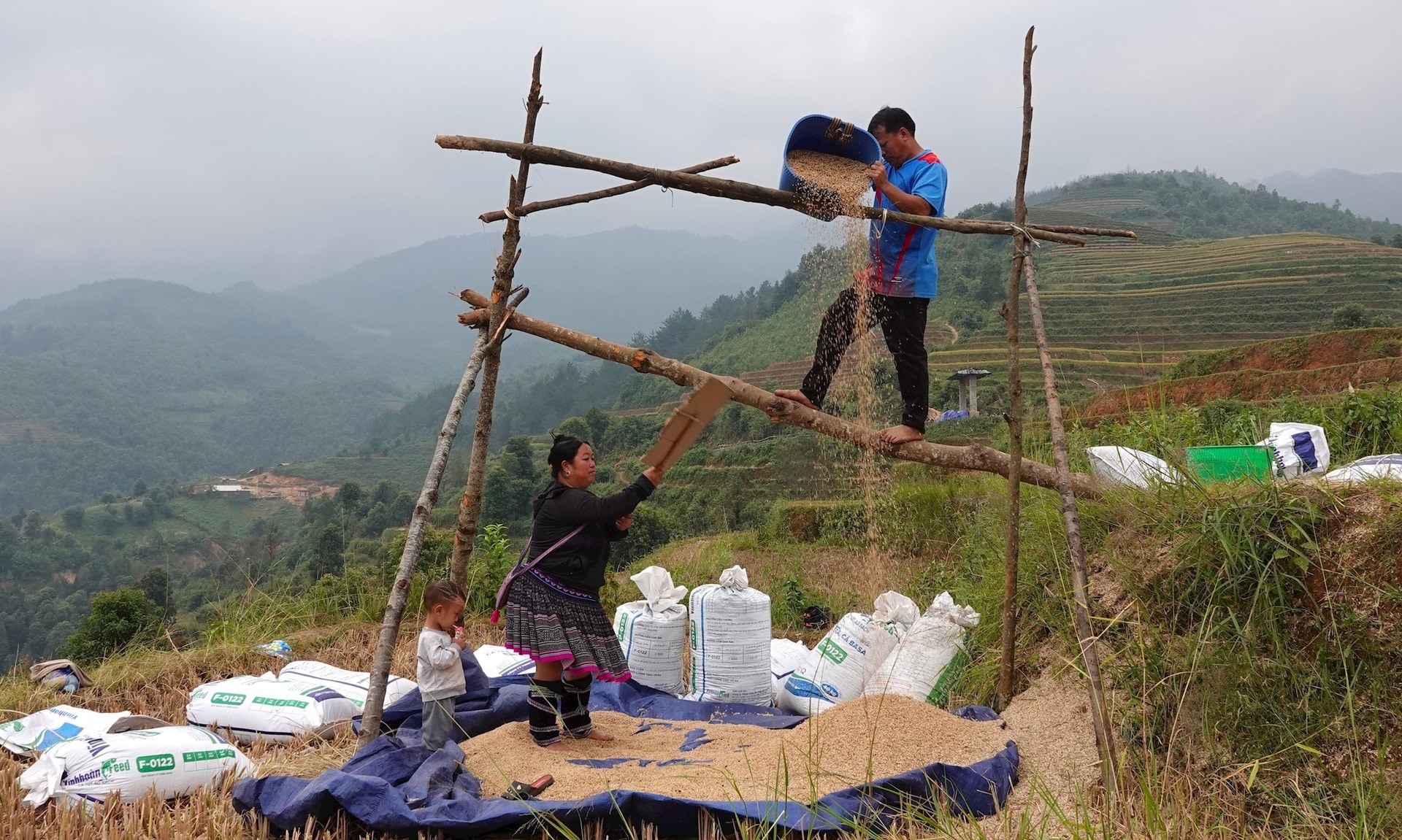 anh-giam-ngheo-9-.jpg