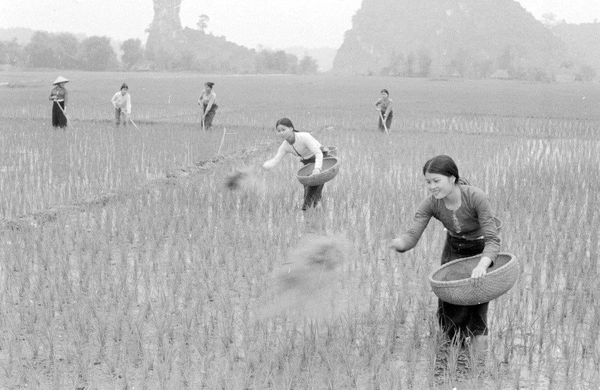 anh-nn-7-(1).jpg