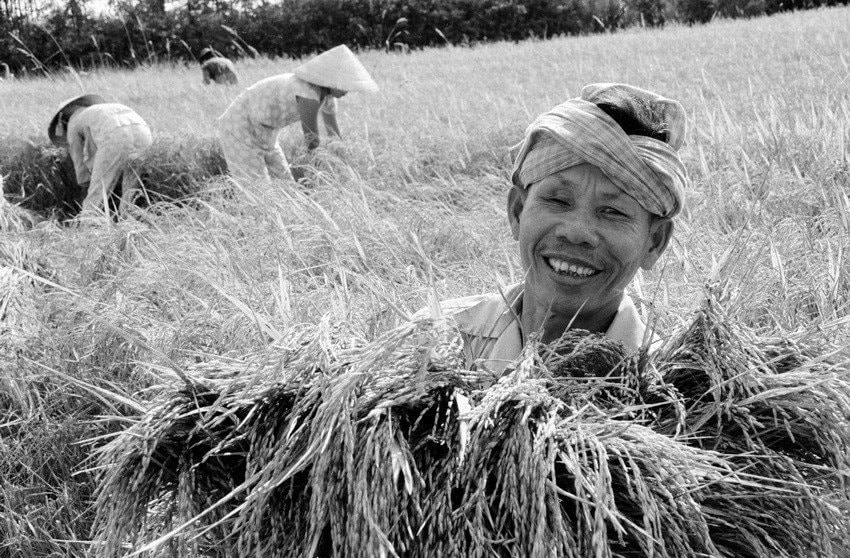 anh-nn-8-(1).jpg