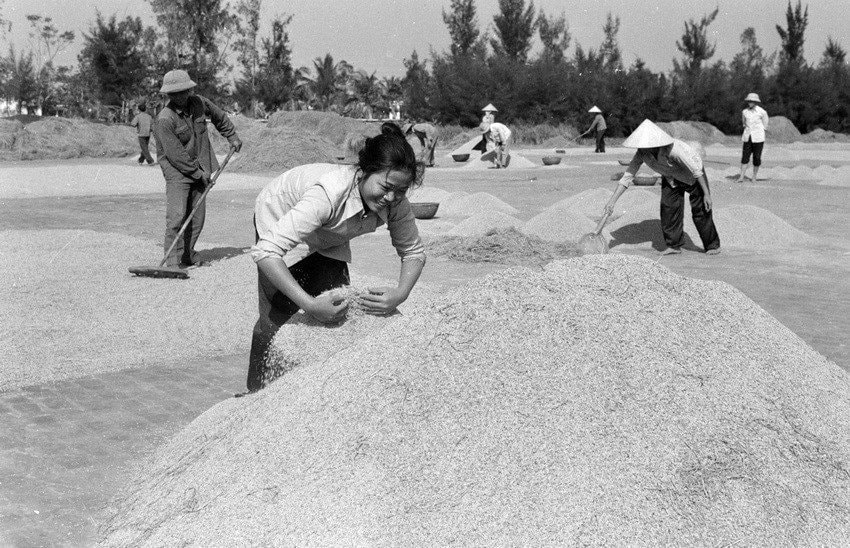 anh-nn-9-(1).jpg