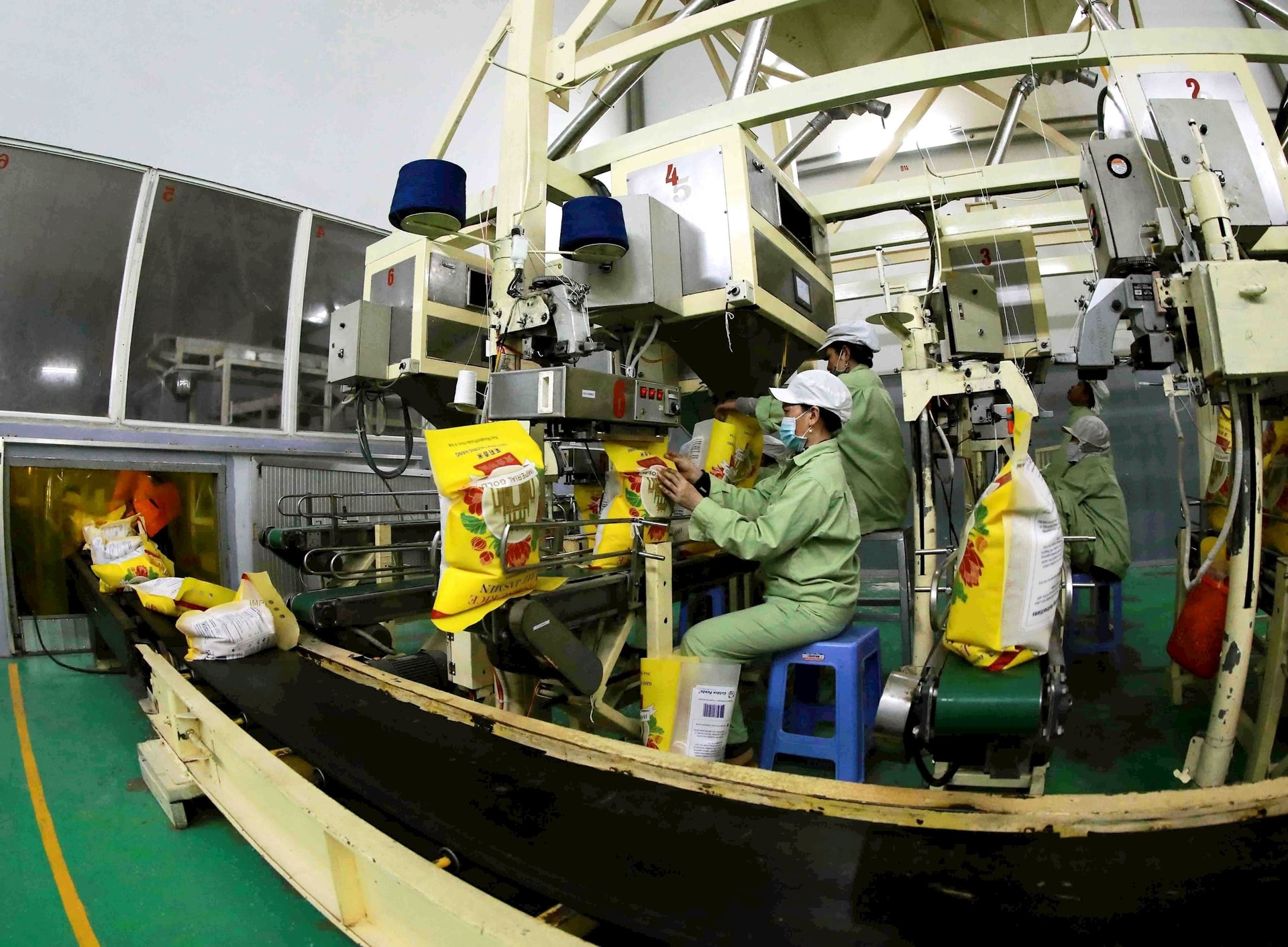 vna_potal_17_nam_ngay_viet_nam_gia_nhap_wto_07112007-_07112024_viet_nam_co_nhung_buoc_tien_dai_tren_con_duong_hoi_nhap_kinh_te_toan_cau_7169539.jpg