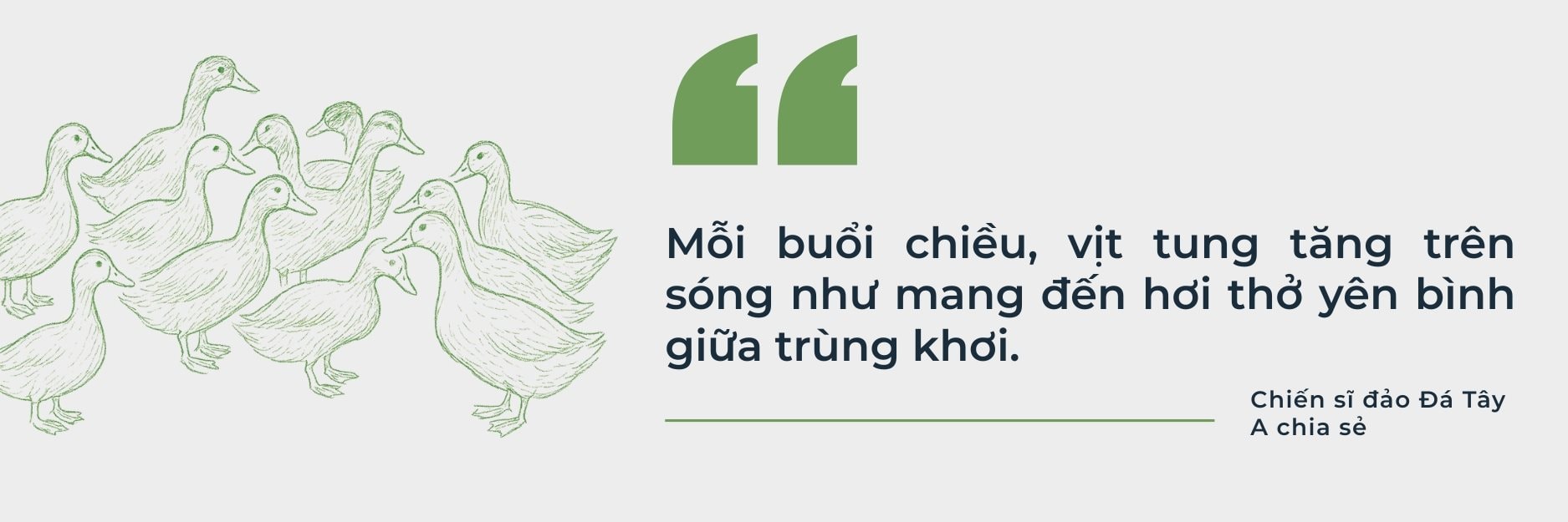 quote-2-ok.jpg