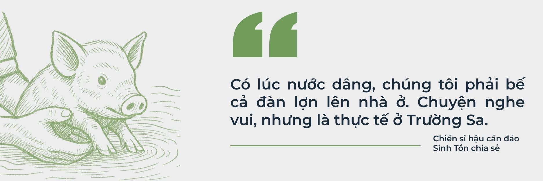 quote-3-ok.jpg