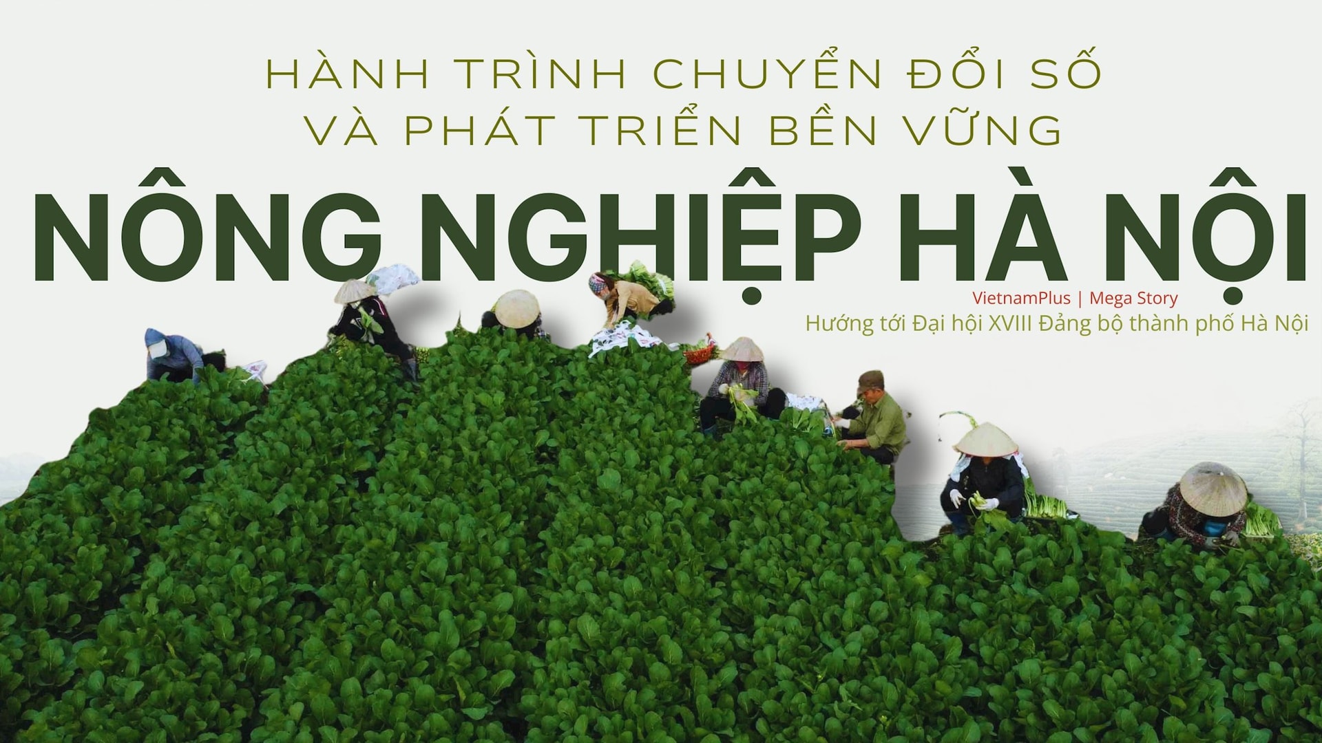Nông nghiệp Hà Nội - hành trình chuyển đổi số và phát triển bền vững