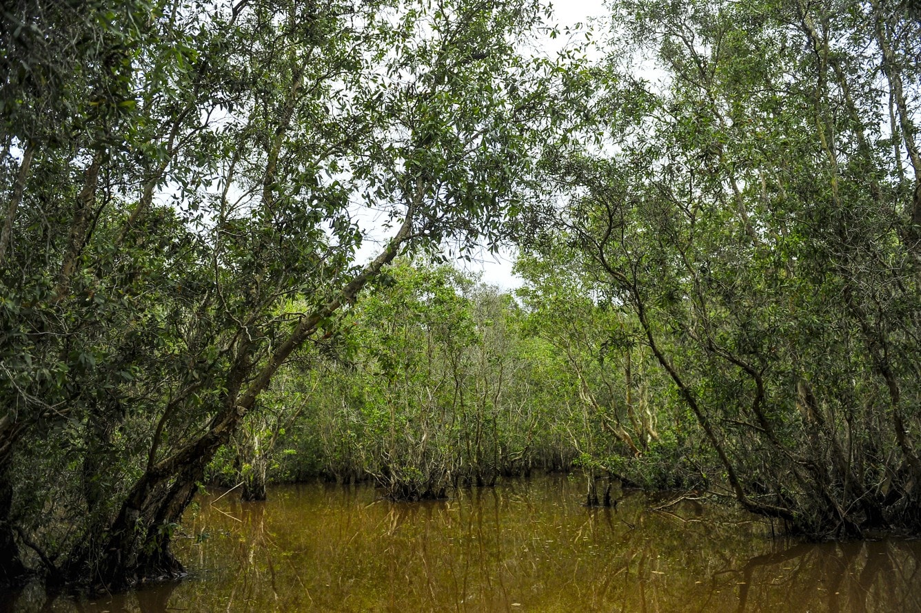 vuon quoc gia tram chim 1