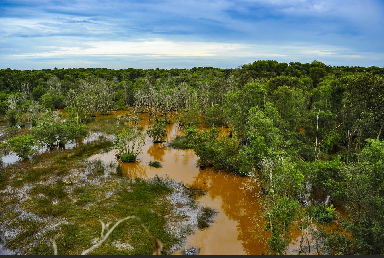 vuon quoc gia tram chim 10