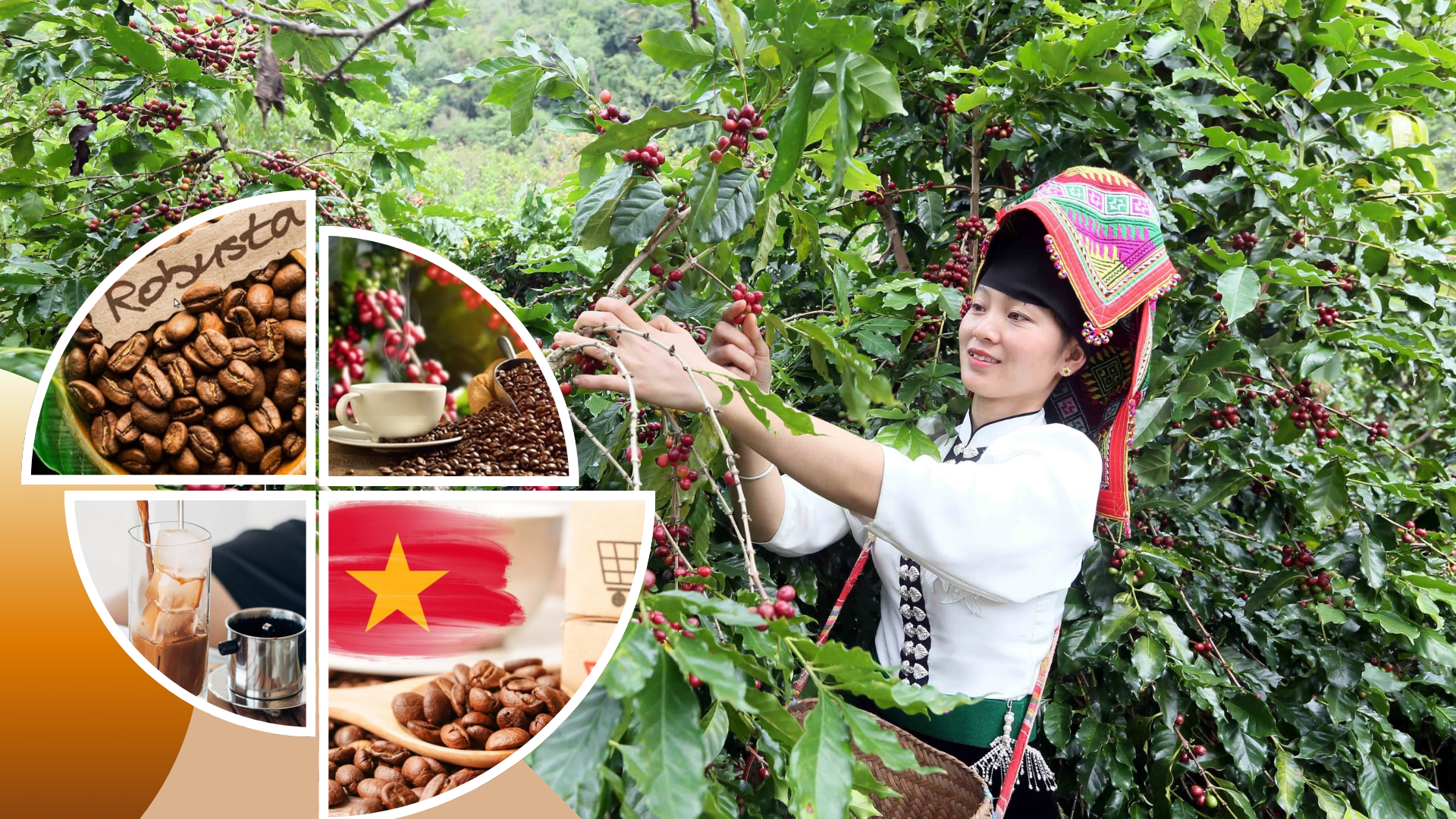 Thiết kế chưa có tên (1)