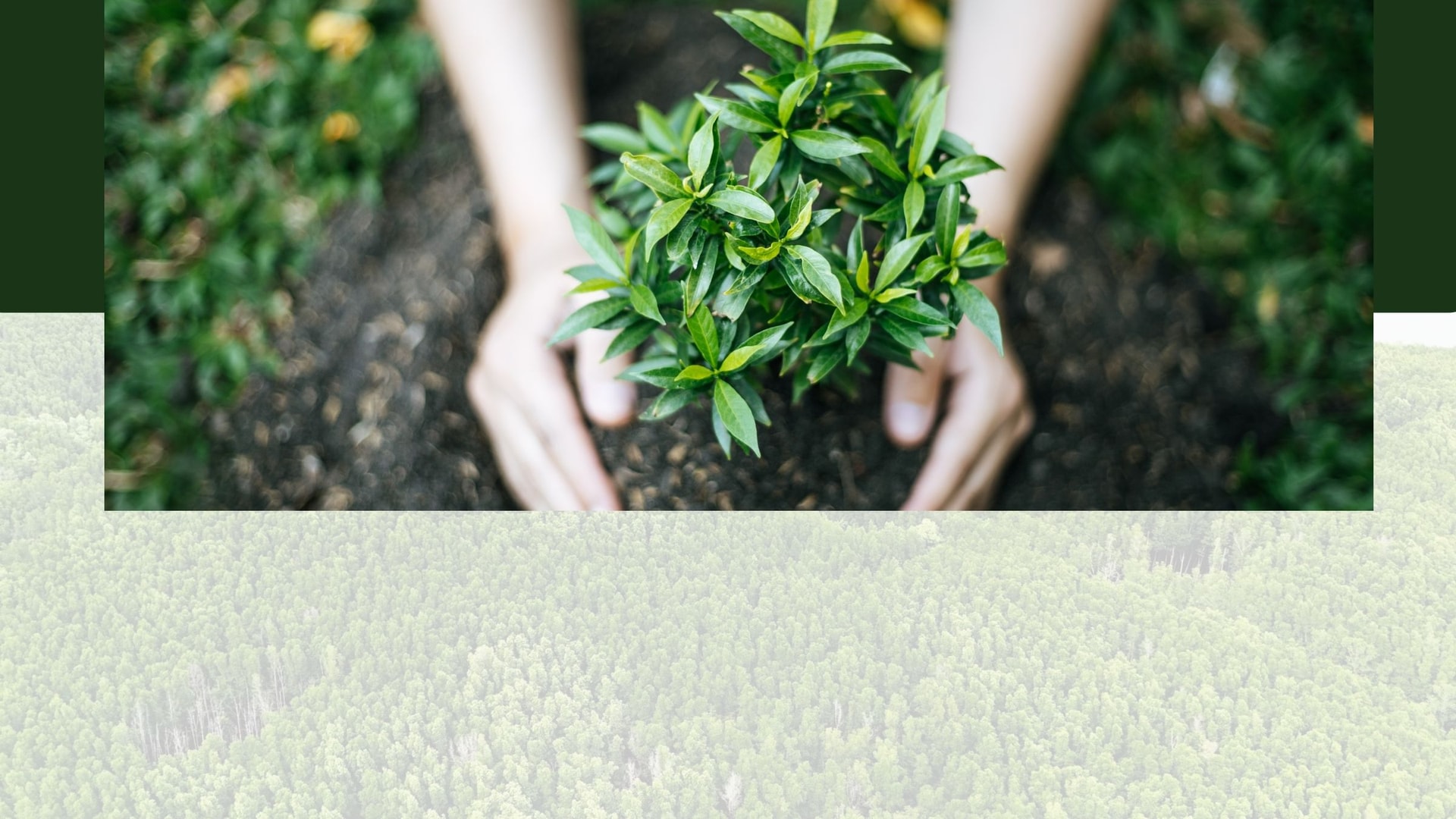 Lorem ipsm dolor sit amet, consectetur adipiscing elit, sed do eiusmo tempor incididunt ut labore et dolore magna aliqua. Ut enim ad minim veniam, quis nostrud exercitation ullamco laboris nisi ut