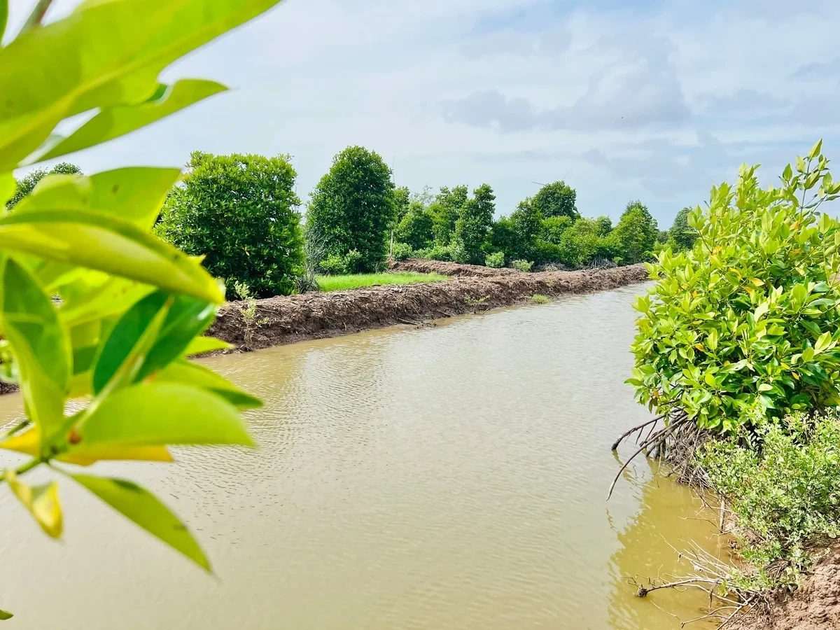 z7322036930097_5506142e7b430c286f6b4b524b90feef-104249_974-092543 (1)