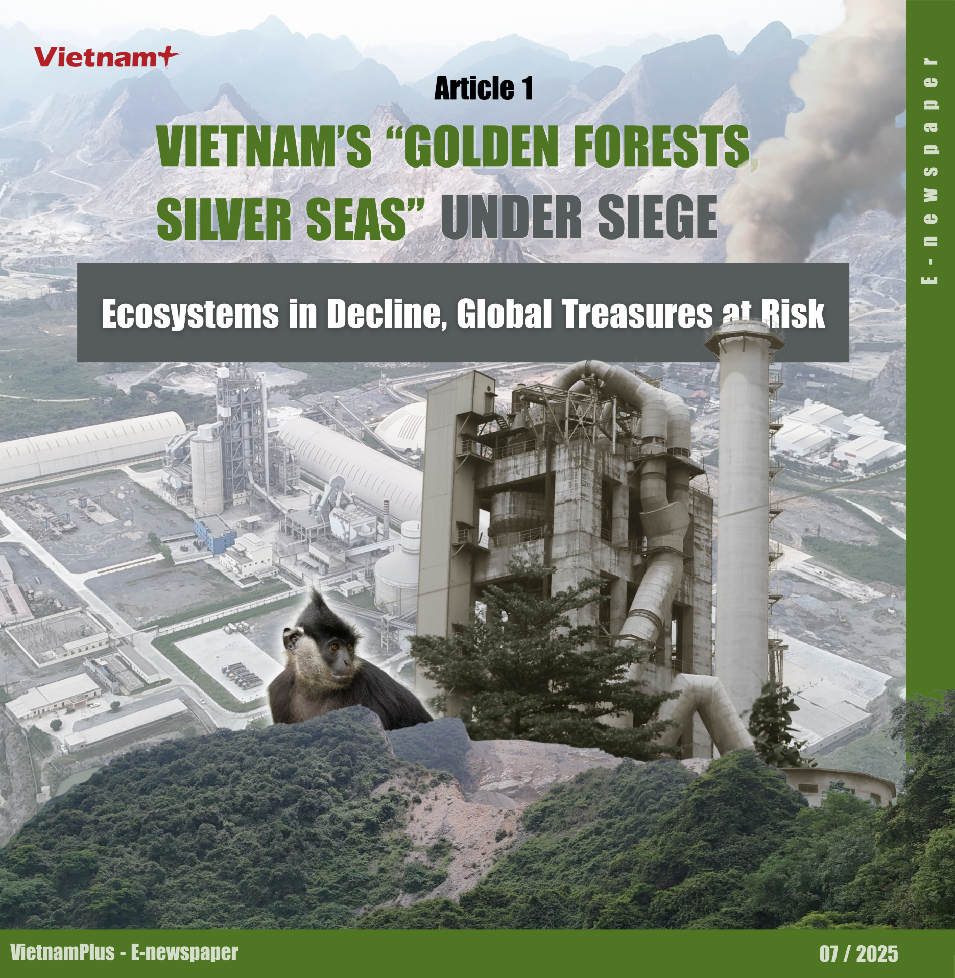 Article 1. Vietnam’s “Golden Forests, Silver Seas” Under Siege: Ecosystems in Decline, Global Treasures at Risk