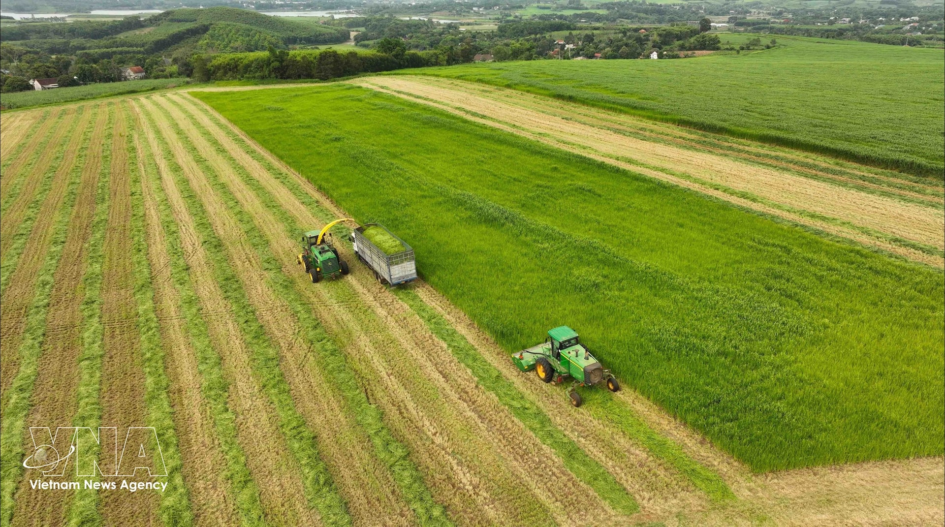 Tập đoàn TH do doanh nhân Thái Hương xây dựng tiên phong trong thực hiện mô hình kinh tế xanh, kinh tế tuần hoàn. (Ảnh: TTXVN)