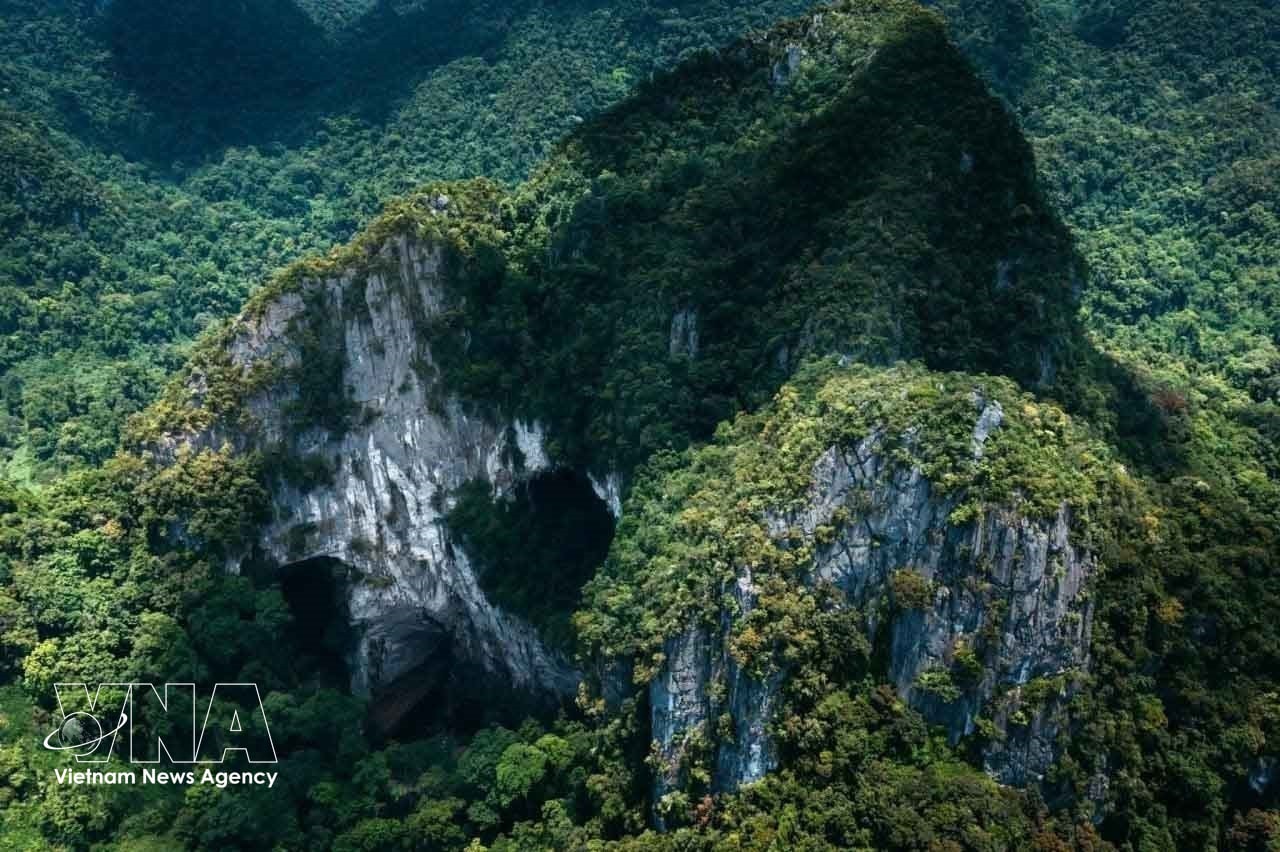 phong nha 1