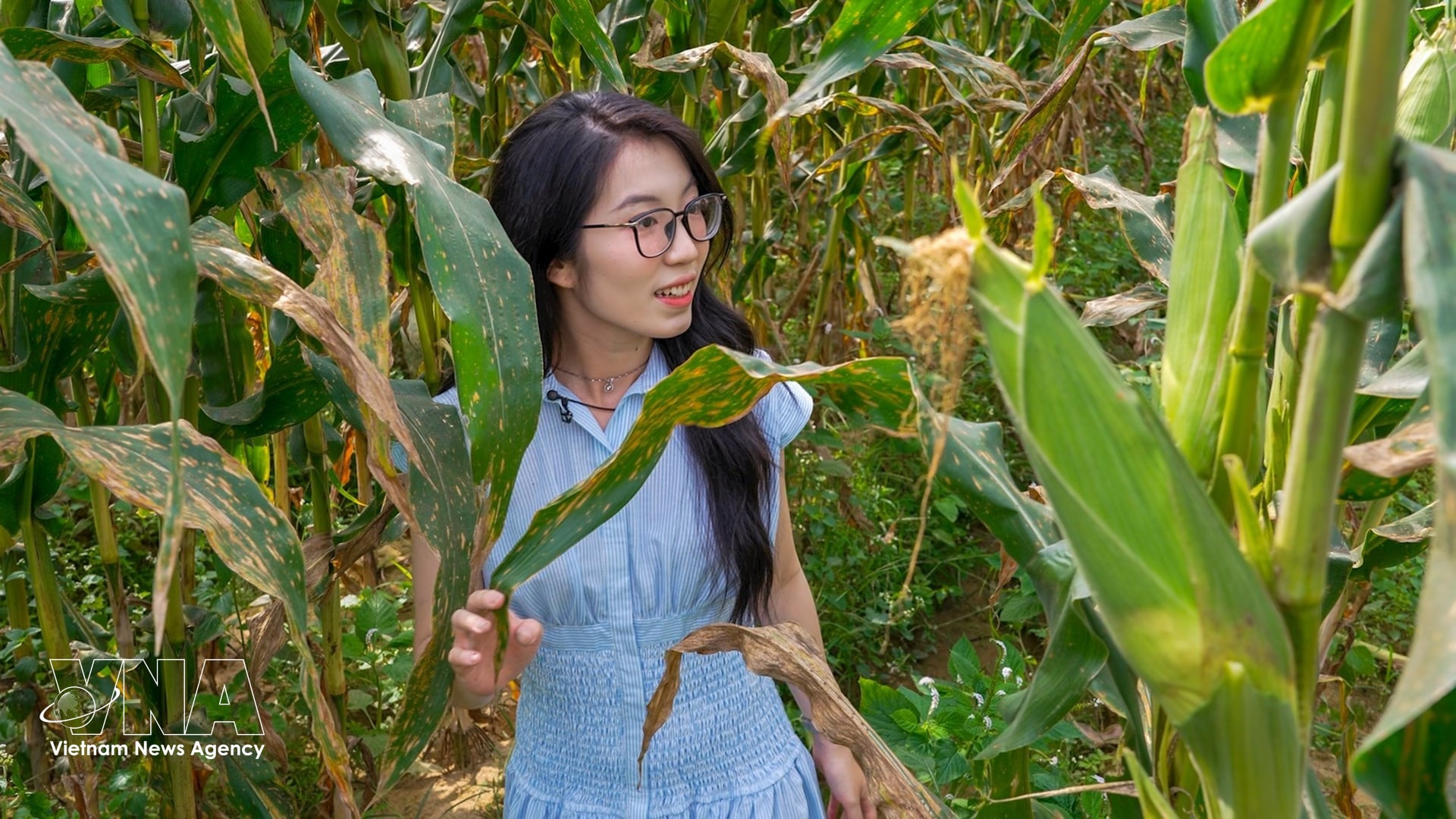 nguyen-hoang-ha.jpg