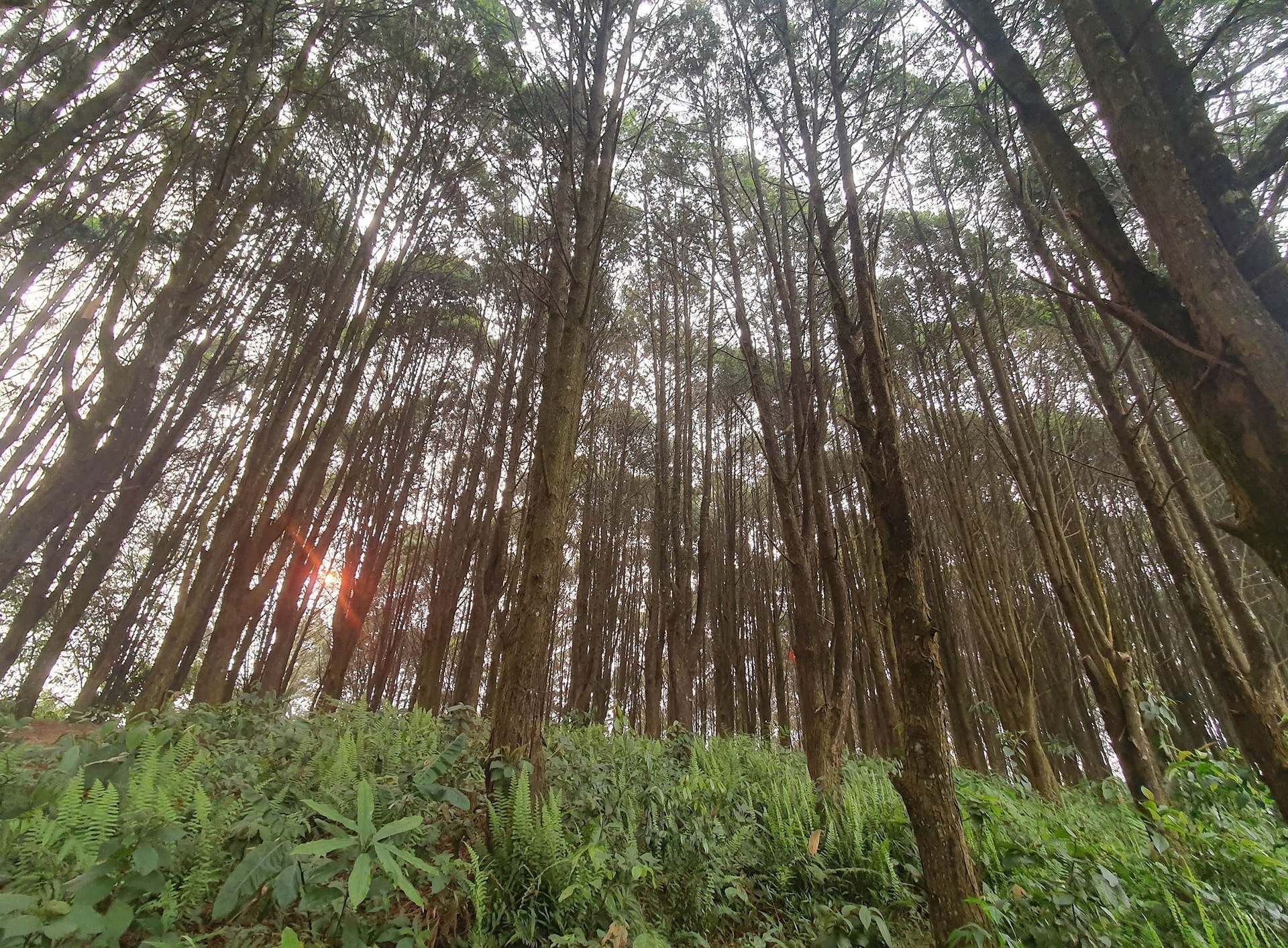 vnanet_Tay nghe An