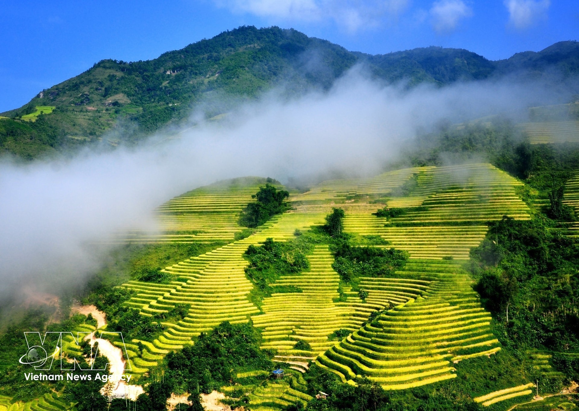 vnanet-_ngat_ngay_voi_ve_dep_sapa_vao_mua_lua_chin_6301313.jpg