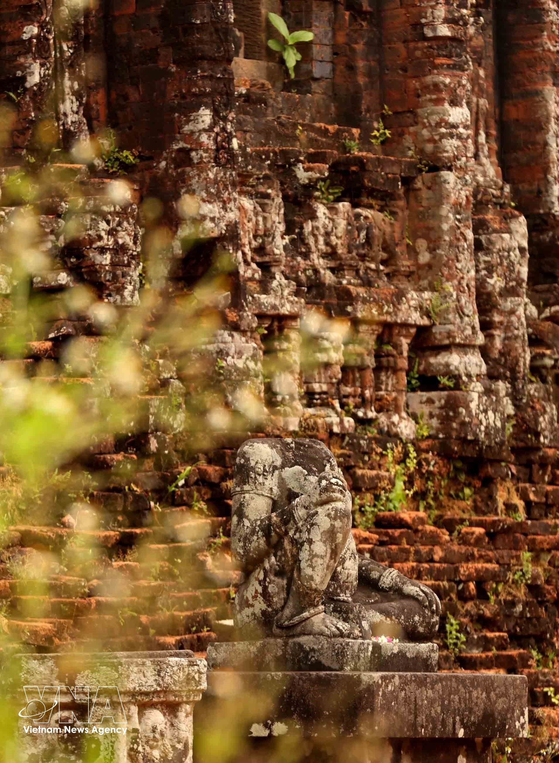 vnanet-potal-my-son-tieng-vong-t(1).jpg