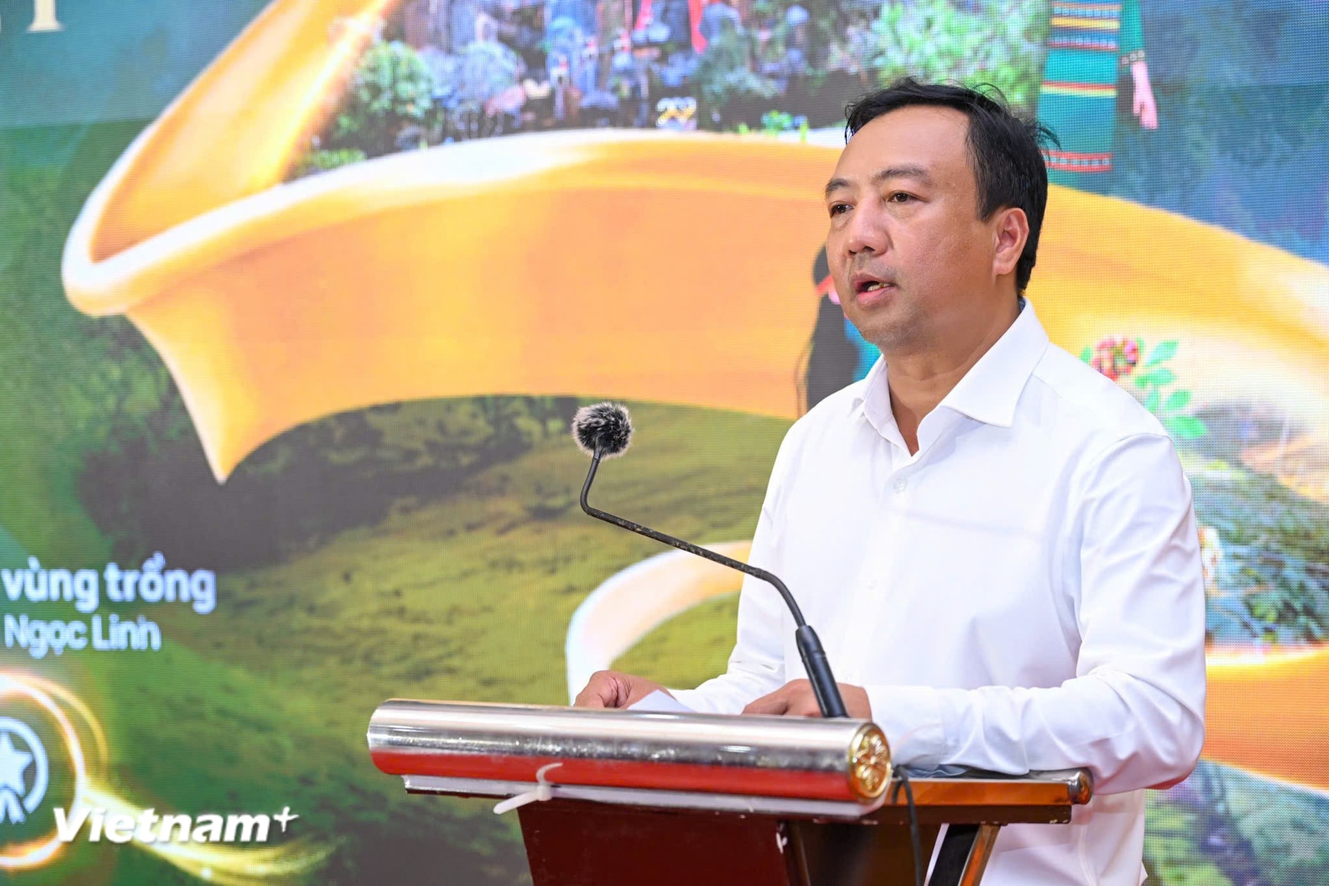 Ông Phan Thanh Thiên - Tổng Giám đốc Trường Sinh Group chia sẻ, giá trị bền vững của dược liệu bắt đầu từ vùng trồng, từ tiêu chuẩn sản xuất, đến công nghệ chế biến. (Ảnh: Minh Sơn/Vietnam+)