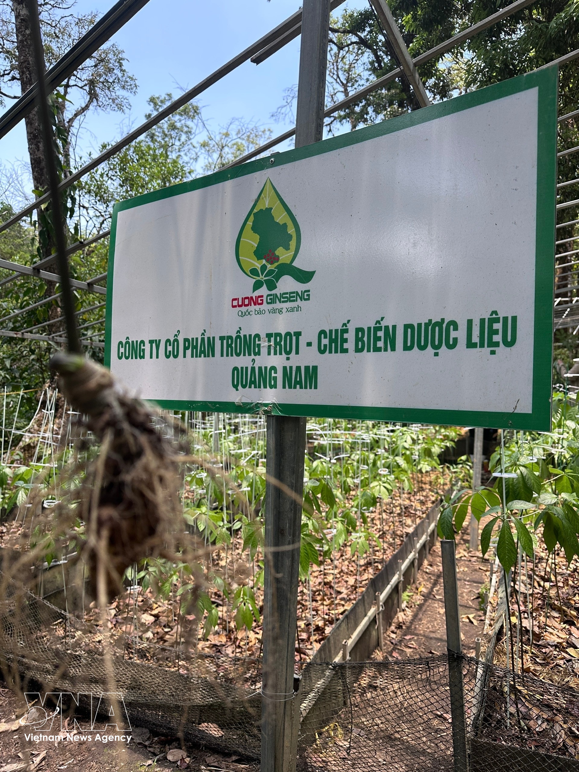 sam-6.jpg
